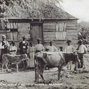 Country Scene in Barbados, West Indies
