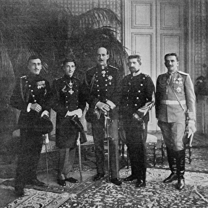 The five crown princes of the Danube and Balkans