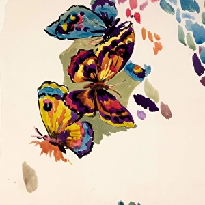 Design for Textile / Sketches with butterflies