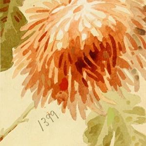Design for wallpaper with orange flower