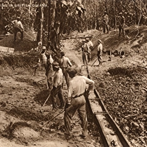 Digging for gold in British Guiana (now Guyana)