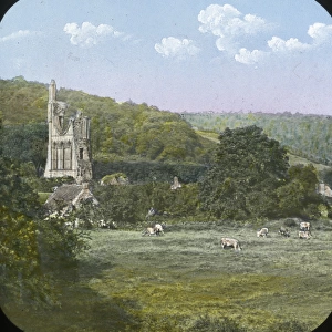 Distant view of Byland Abbey, Ryedale, North Yorkshire
