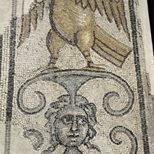 Eagle and Medusa Head. Mosaic floor. Synagogue at Yafia, Low