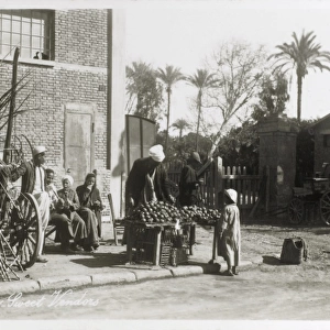 Egypt - Alexandria - Sugar Cane and Sweet Vendor
