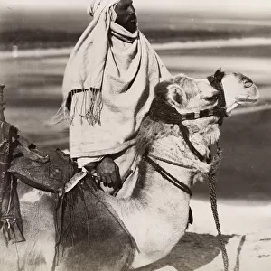 Egyptian man and his camel, Egypt