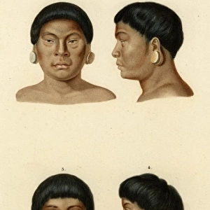 Faces of racial types, Botocudo tribe
