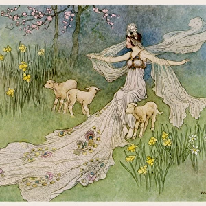 The Fairy Coquette