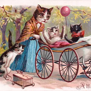 Family of cats in the park on a postcard