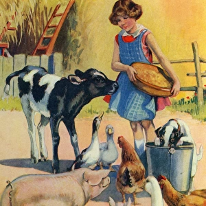 Farmyard animals