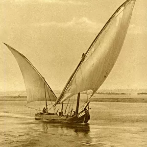 Felucca with lateen sails on the River Nile, Egypt