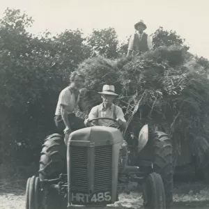 Ferguson TE 20 Vintage Tractor and Haycart