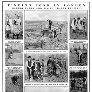 Finding Food in London: WW1