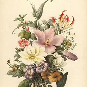 Flowers from Bombay, India