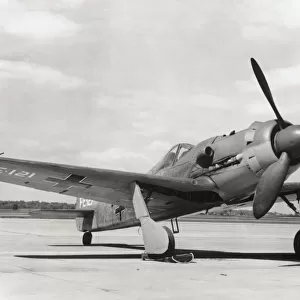 Focke Wulf FW-190D-9