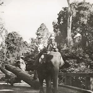 Forestry logging in Burma - elephant pulling a log