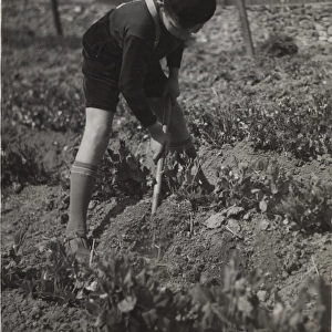French cub scout digging in a field