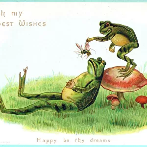 Two frogs with insect on a greetings card