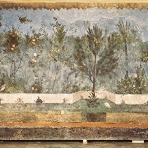 Garden Paintings from the so-called Villa of Livia