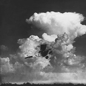 German Albatros C. X plane above Marimbois airfield, WW1