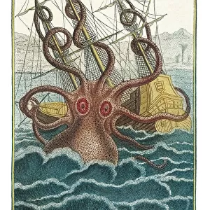 Giant octopus