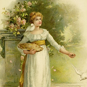 Girl feeding white doves