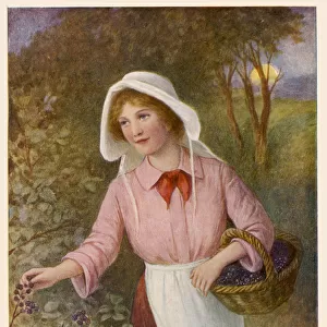 Girl Picking Berries