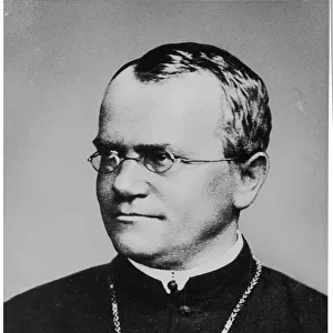 Famous inventors and scientists Collection: Gregor Mendel
