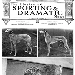 Greyhound racing - Cover of Sporting & Dramatic News