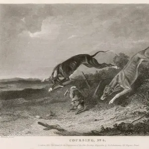 Hare Coursing 1835