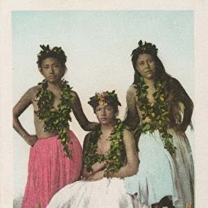 Hawaii Collection: Honolulu