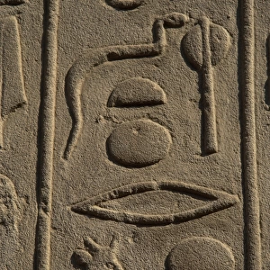 Hieroglyphic writing. Egypt
