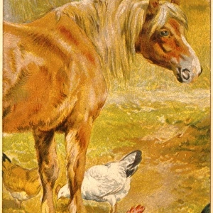 Horse & Chickens C1910