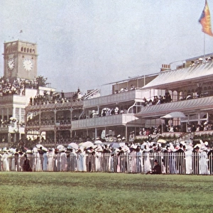 Horse Racing Ascot 1912