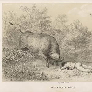 Hunter and Buffalo