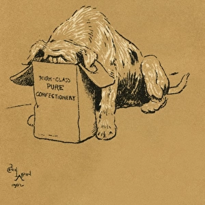 Illustration by Cecil Aldin, A Dog Day