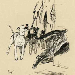 Illustration by Cecil Aldin, dogs at supper time