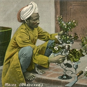 Indian Gardener
