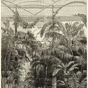 Sights Collection: Kew Royal Botanic Gardens