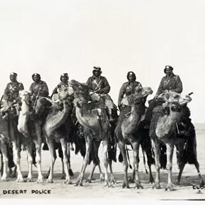 Iraqi Desert Police, mounted on camels