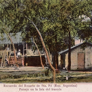 Island cabins, Rosario de Santa Fe, Argentina, South America