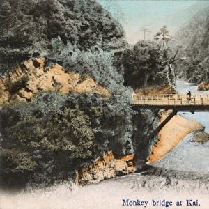 Japan - Monkey Bridge in the Kai Province