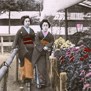 Two Japanese Geisha in a garden with colourful blooms