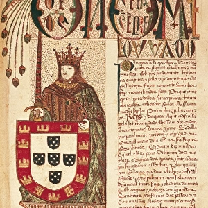 John II, called The Perfect Prince (1455-1494)