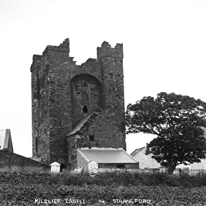 Kilclief Castle, Strangford