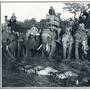 King George V hunting