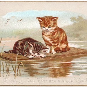 Two kittens on a raft on a New Year card
