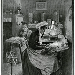 Lace-Making in the town of Bruges, Belgium 1907