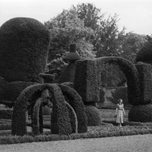 Levens Hall Topiary