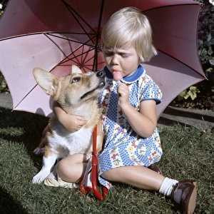 Little girl with Corgi dog under a parasol in a garden