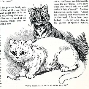 Louis Wain cats - Our Mistress is sure to come for us